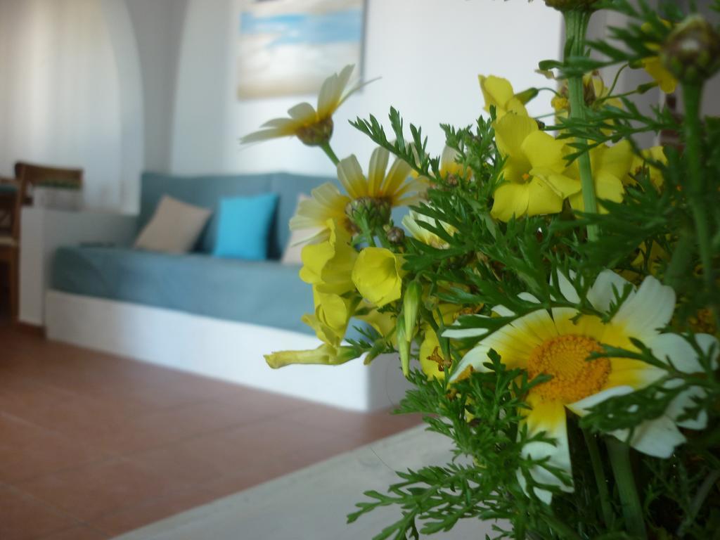 Villa Aelia Santorini Vóthon Quarto foto